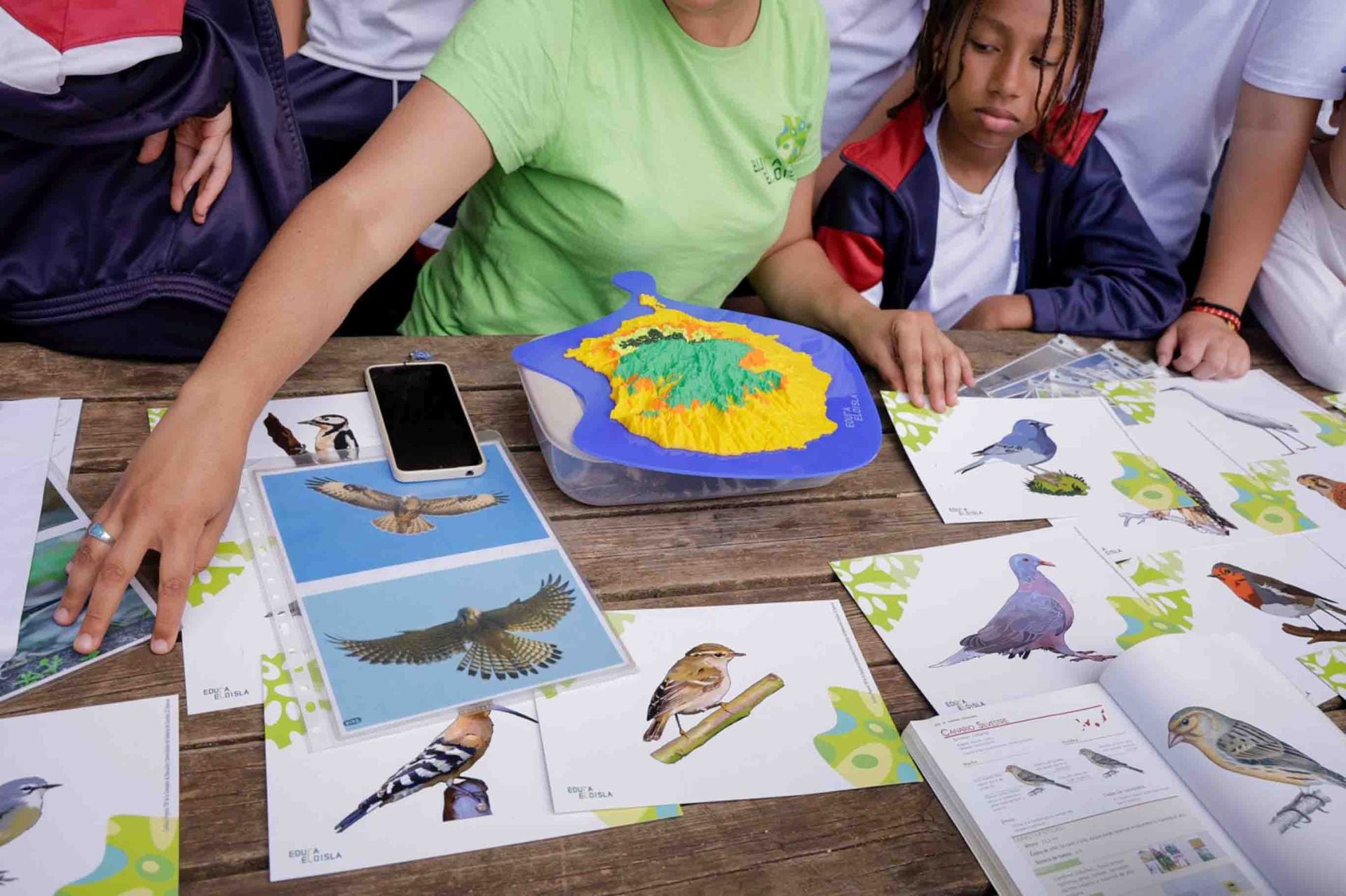 Imágenes del proyecto Brinzal elaborado por el alumnado de Canarias