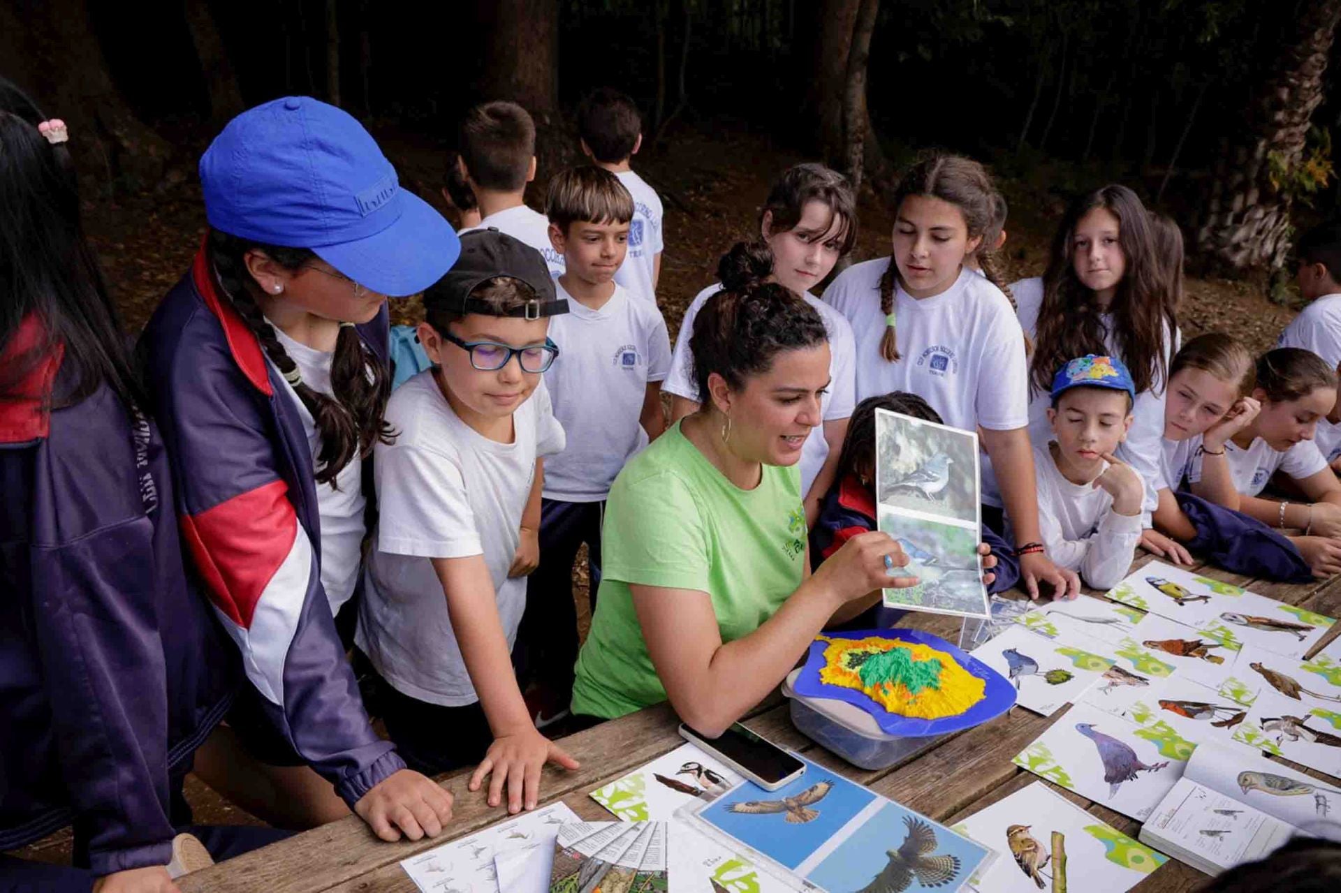 Imágenes del proyecto Brinzal elaborado por el alumnado de Canarias