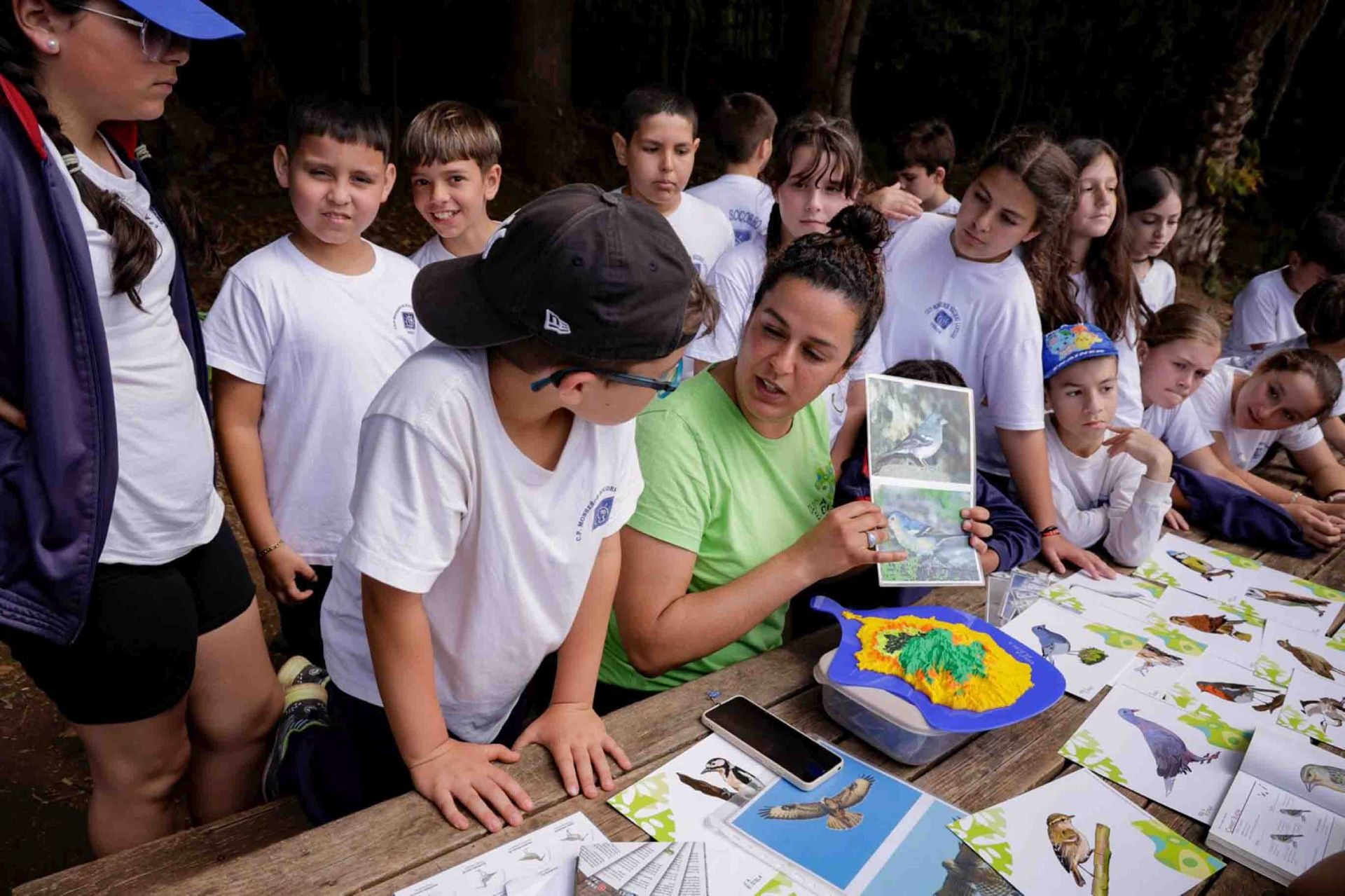 Imágenes del proyecto Brinzal elaborado por el alumnado de Canarias