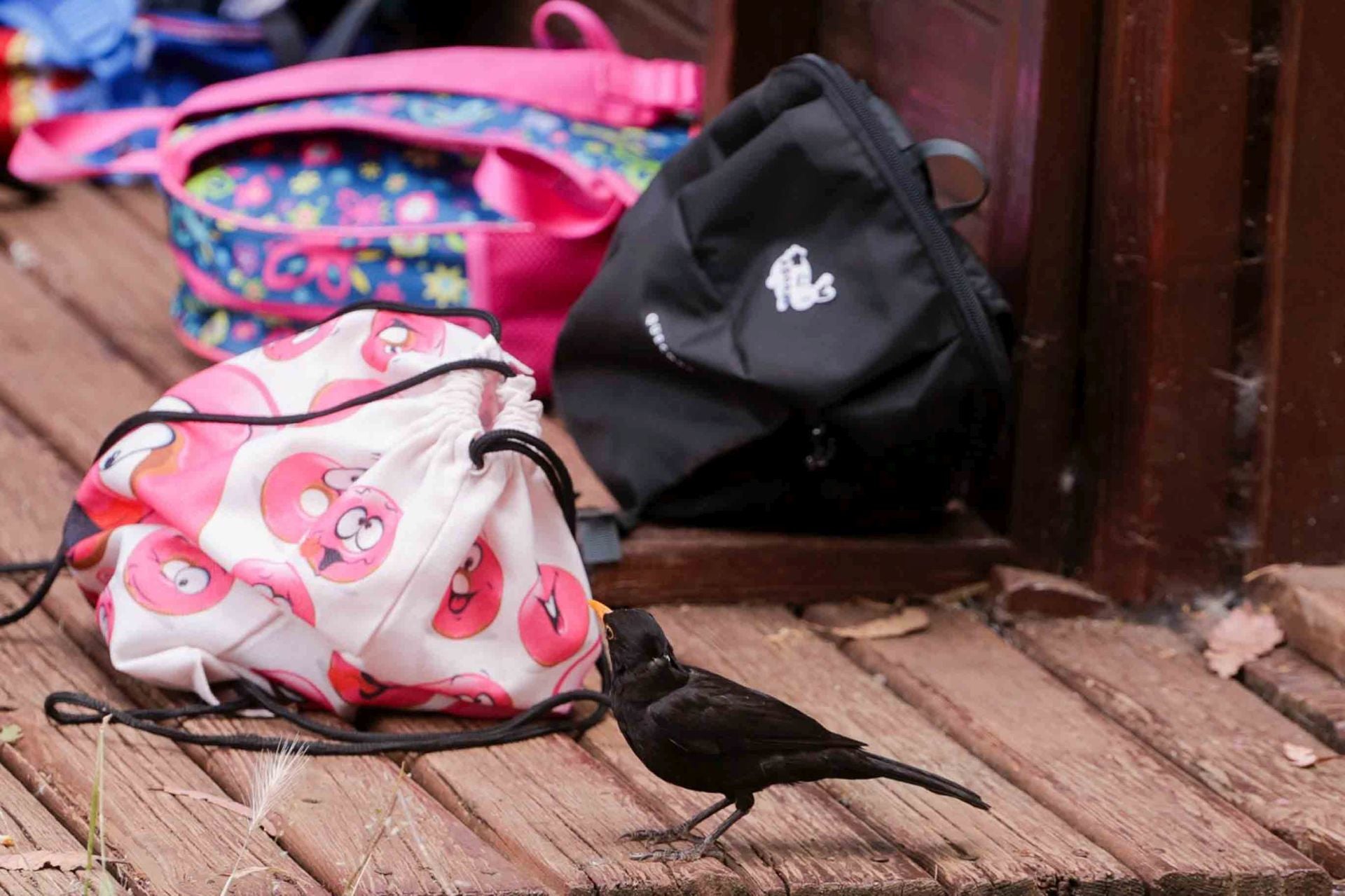 Imágenes del proyecto Brinzal elaborado por el alumnado de Canarias