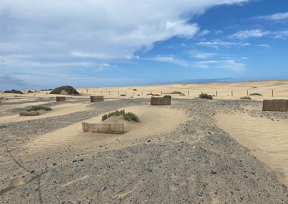 Imagen secundaria 1 - En la foto superior, el presidente del Cabildo planta uno de los balancones previstos para la demostración ante los medios de comunicación.