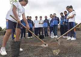 Momento de una de las plantaciones en Los Valles, con estudiantes.