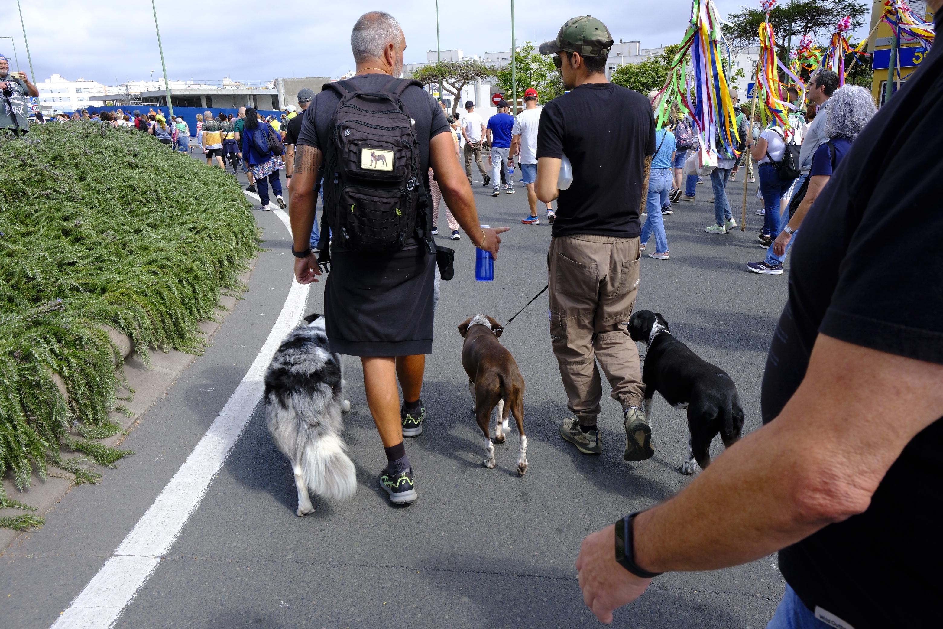 La subida de la Virgen del Pino 2025