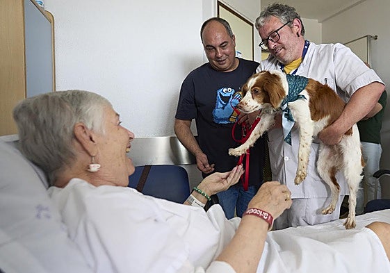 Una paciente recibiendo por parte del médico la visita de un perro durante su ingreso hospitalario en Txagorritxu