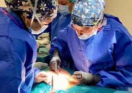 Intervención hospitalaria con la nueva técnica.