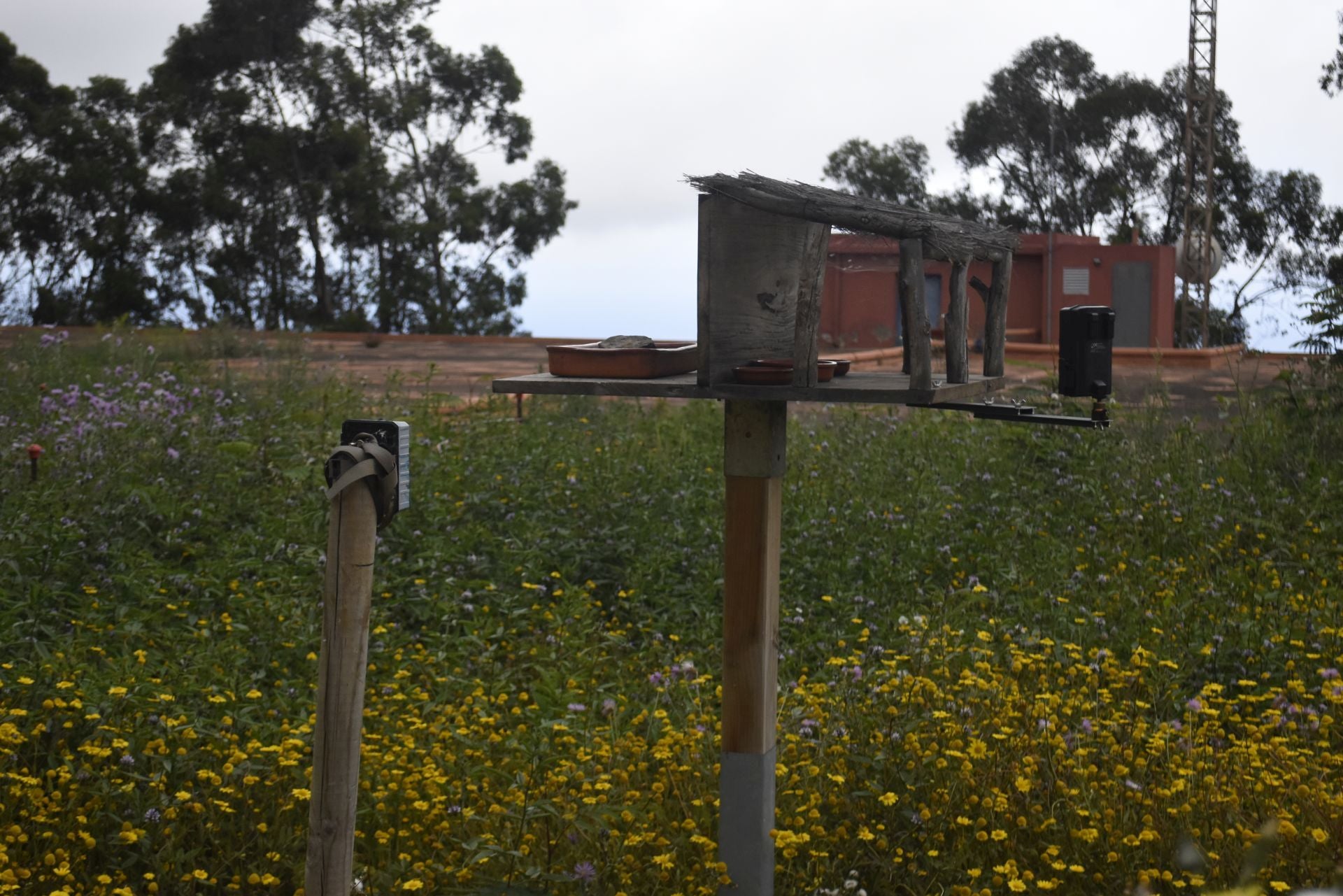 Imagen secundaria 1 - Distintas imágenes del proyecto Brinzal.