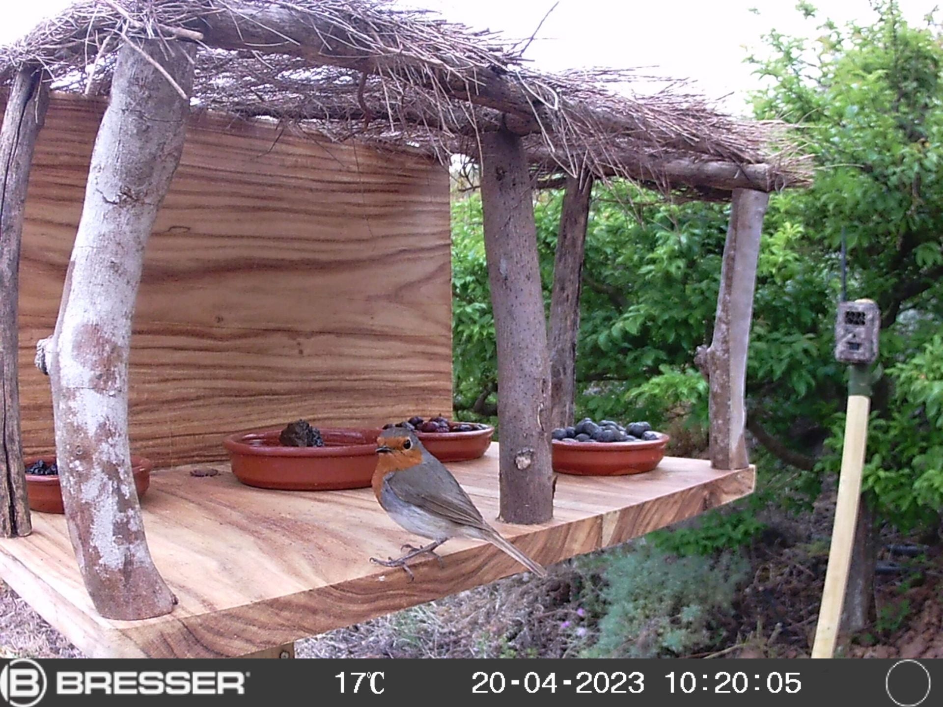 Imagen secundaria 2 - Distintas imágenes del proyecto Brinzal.