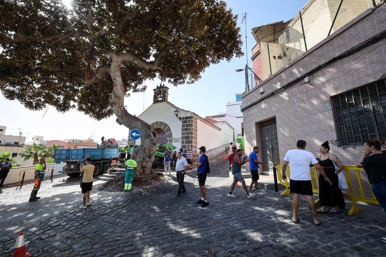 Imagen secundaria 1 - Detalles del vallado de la zona y una imagen de noviembre, cuando los vecinos pararon la tala.