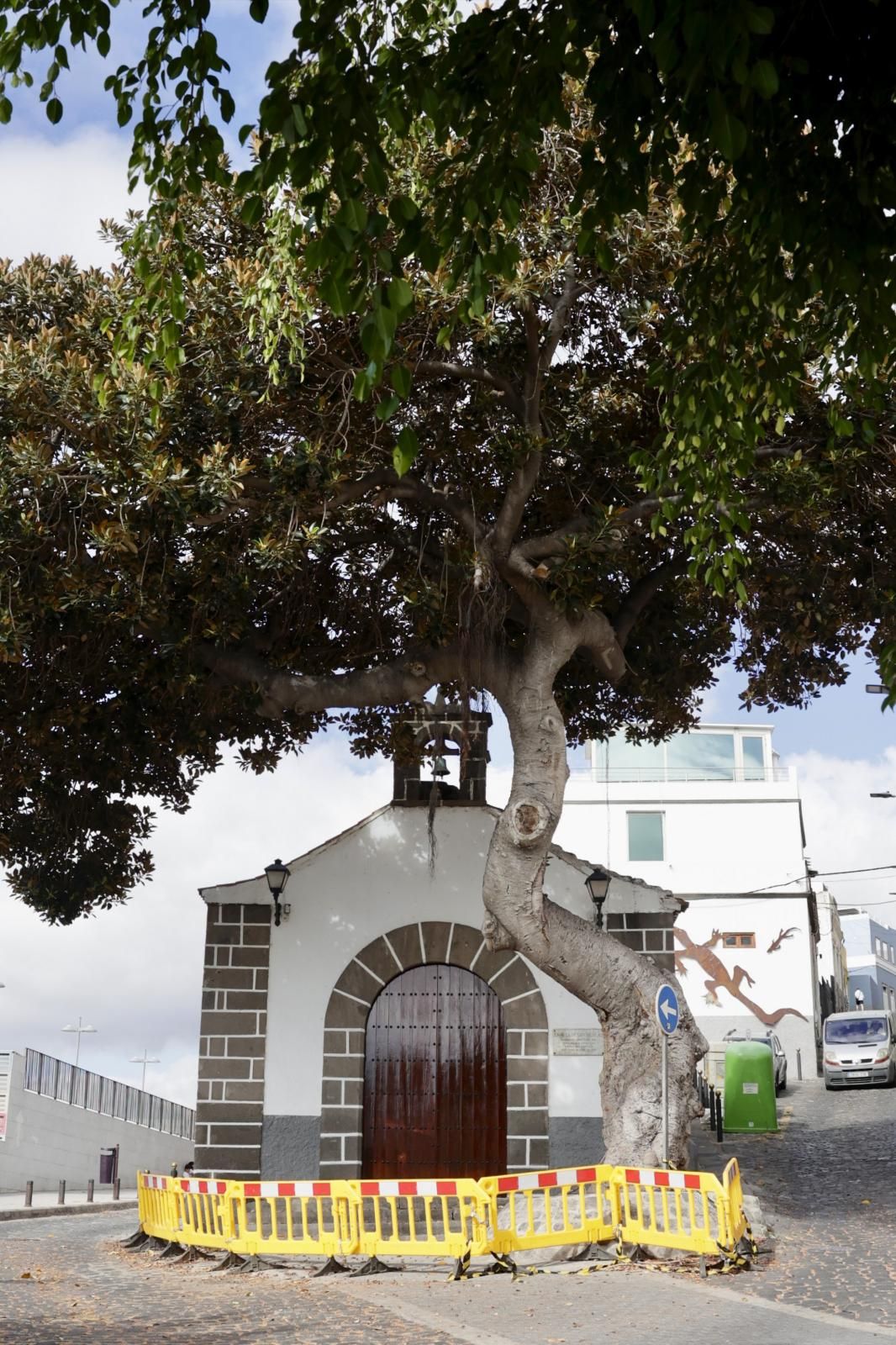 Imagen secundaria 2 - Detalles del vallado de la zona y una imagen de noviembre, cuando los vecinos pararon la tala.