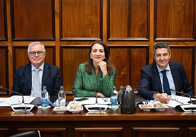 Consejeros del grupo de CC en el Cabildo.