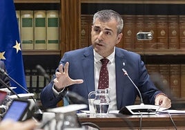 Manuel Domínguez en comisión parlamentaria.