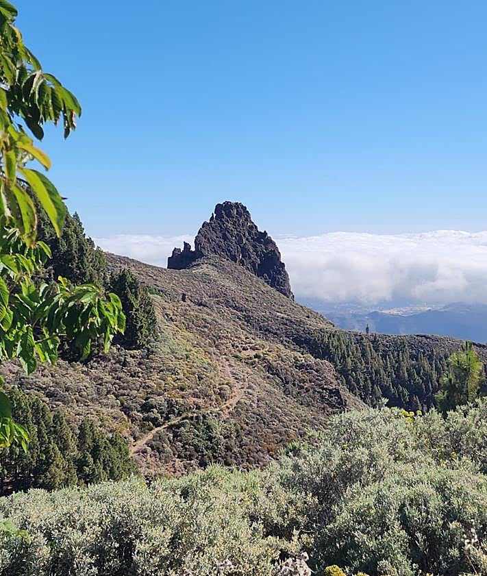 Imagen secundaria 2 - A pesar de la subida de las temperaturas, la panza de burro también hará acto de presencia en el norte de las islas más montañosas, propiciando el contraste con el sur.