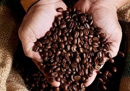 Café, lo que no te habían contado