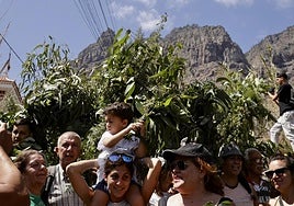 Romeros en el Valle de Agaete durante las fiestas del año pasado.