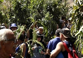 Última edición de la Rama de San Pedro.