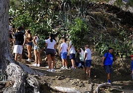 Agaete vibra con la Rama de San Pedro