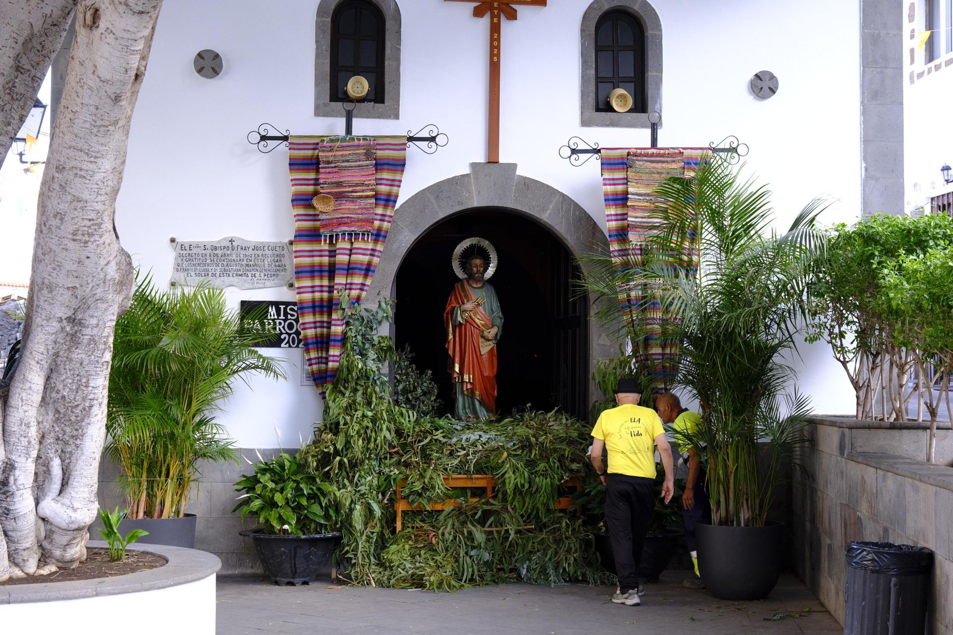 Agaete vibra con la Rama de San Pedro