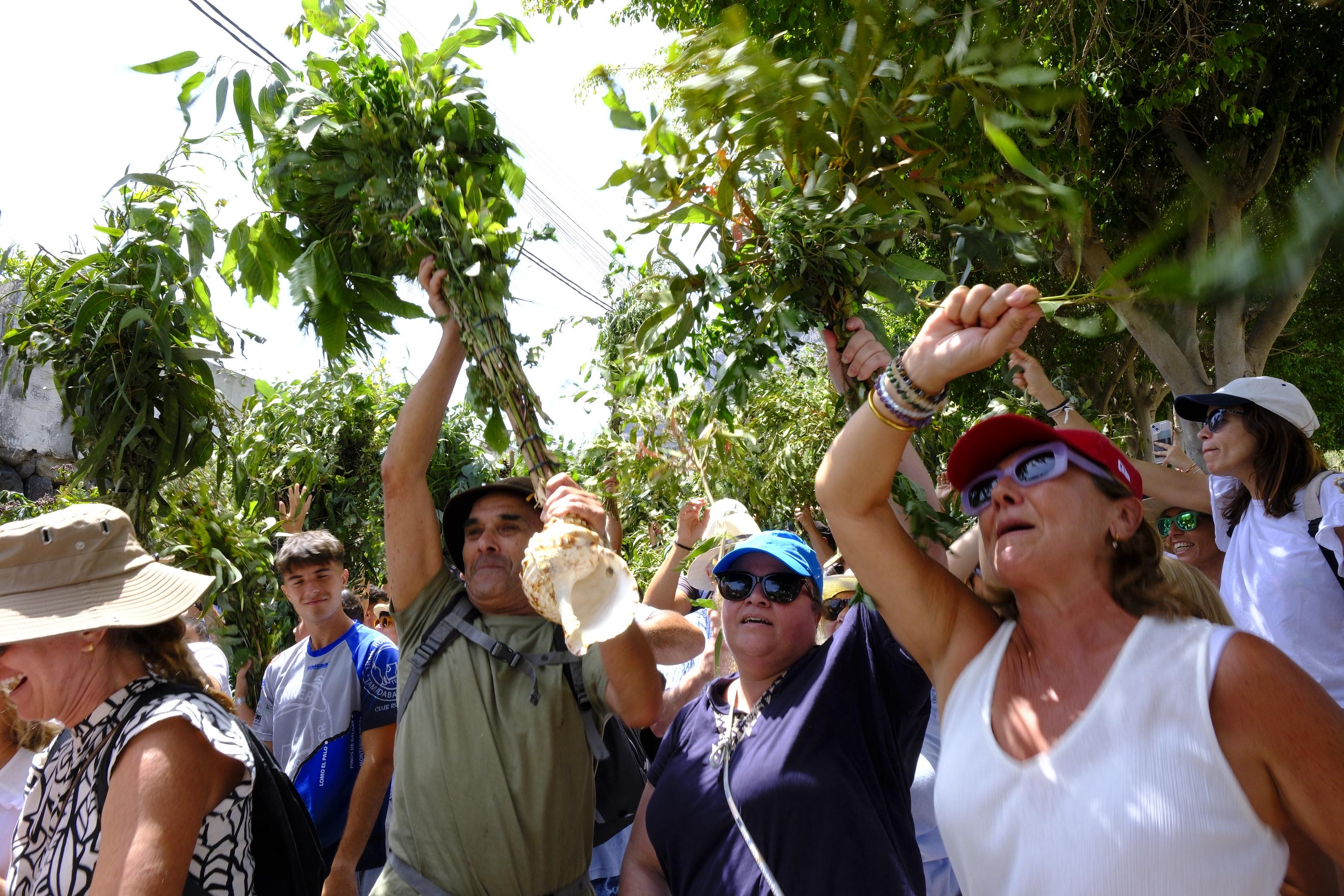 Agaete vibra con la Rama de San Pedro