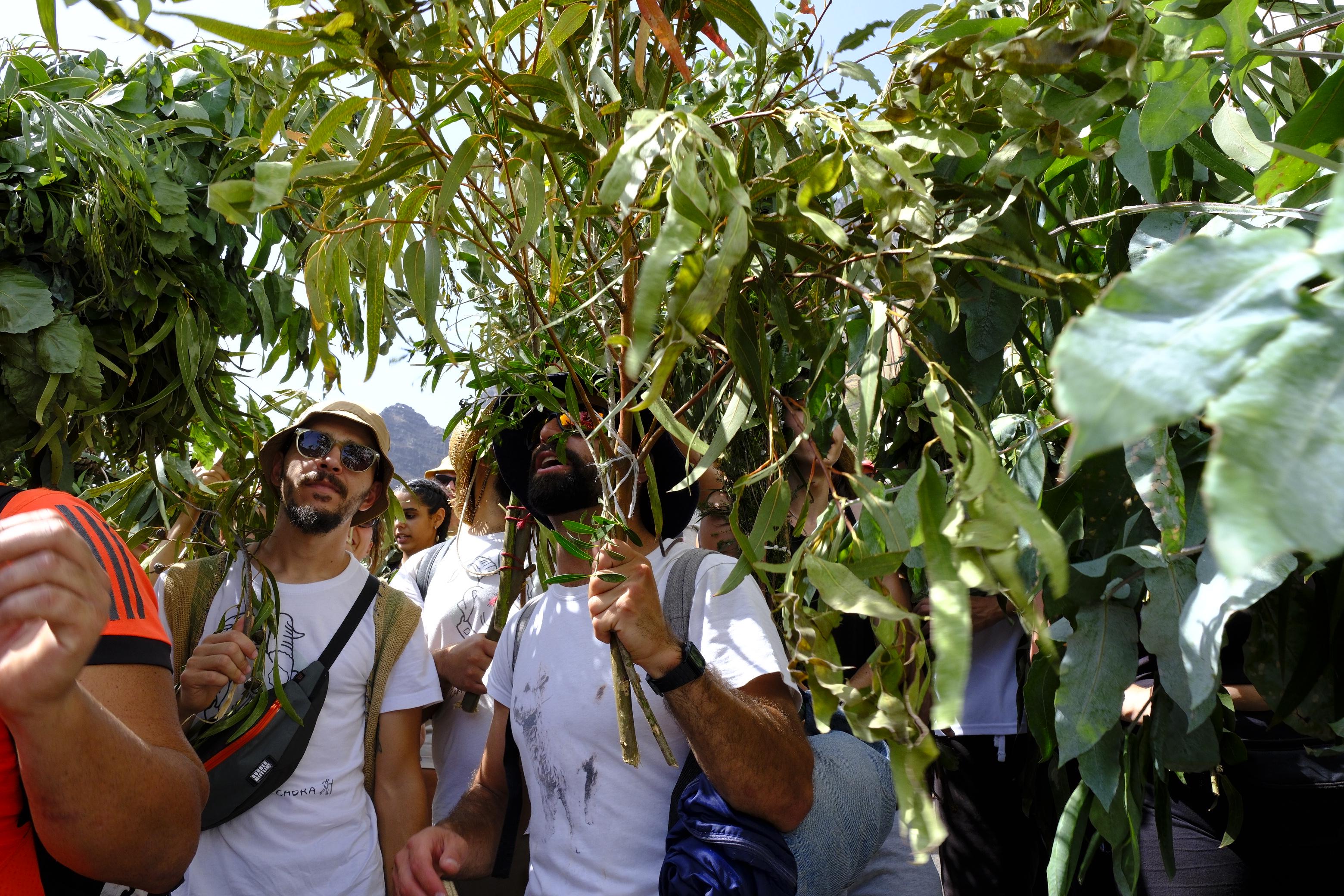 Agaete vibra con la Rama de San Pedro