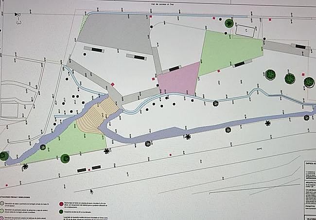Los árboles enmarcados en círculos verdes estarían afectados por las obras y serían trasplantados.