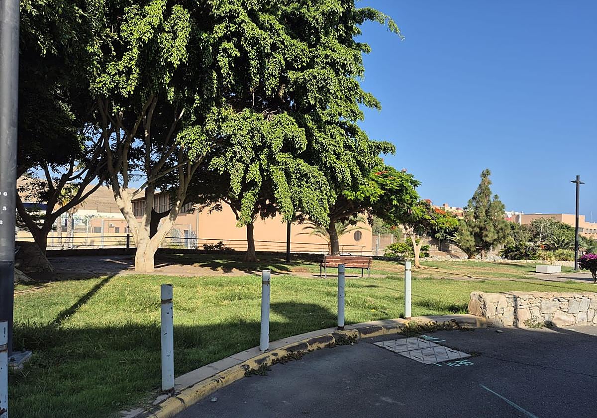 El proyecto del velatorio de Pino Seco afectaría, al menos, a diez árboles