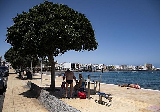 Una pareja se refugia del calor a la sombra de un árbol en Arinaga.