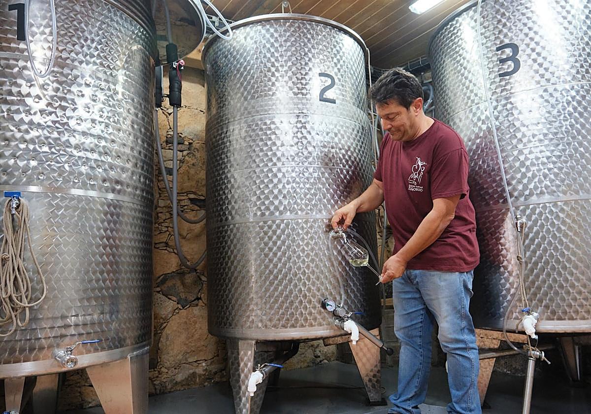 Miguel Cabrera Viera, en los tanques de su vino blanco, en su bodega situada en Tetir, en el municipio de Puerto del Rosario.