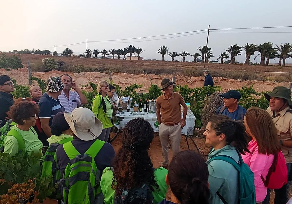 Los senderistas del programa Antigua se mueve, en el cultivo de parras de Jacobo Negrín.