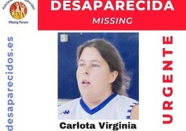 Cartel de la desaparecida.