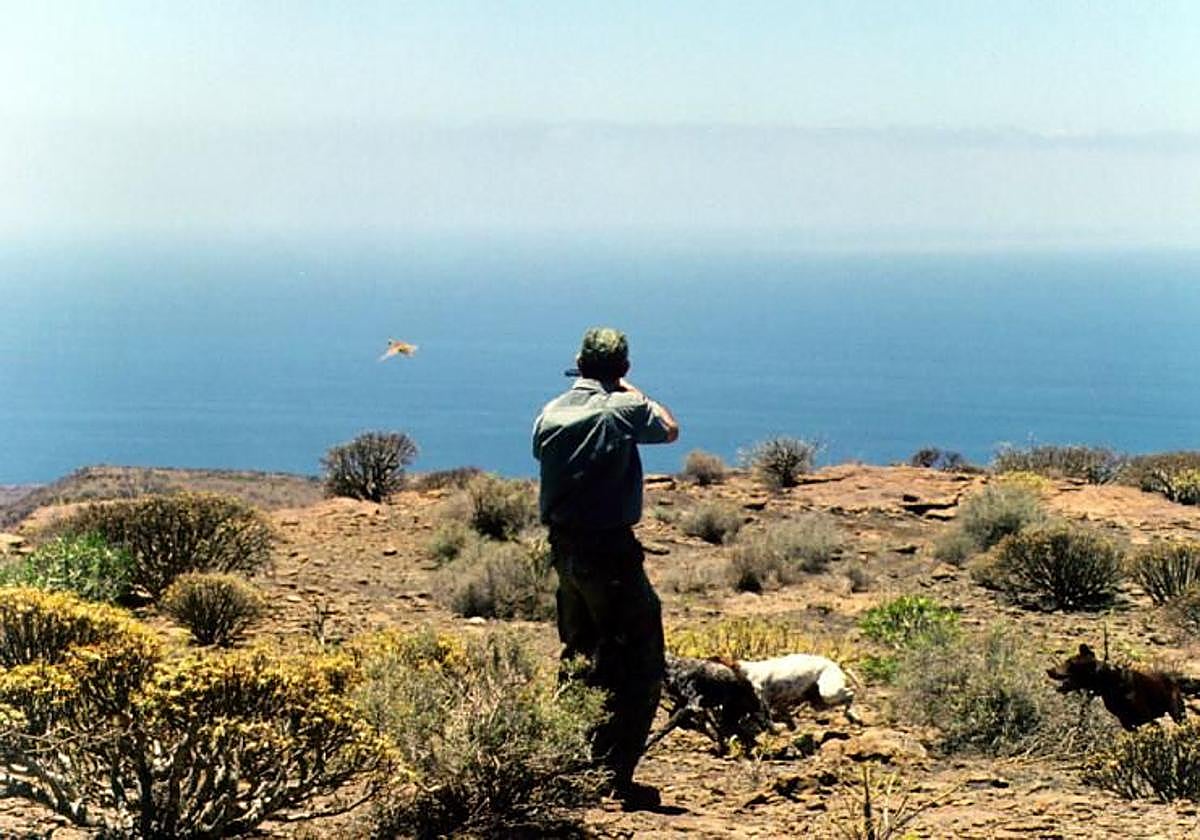 Un cazador acompañado de perros dispara con su escopeta a una perdiz roja en Veneguera.