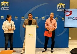 Momento de la rueda de prensa ofrecida en el Parlamento canario.