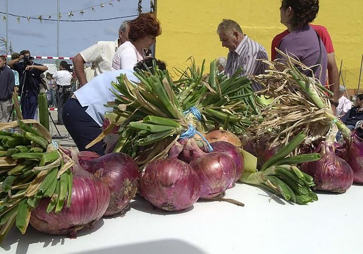Cebollas rojas de Gáldar premiadas en una edición anterior de la fiesta que acoge Piso Firme.