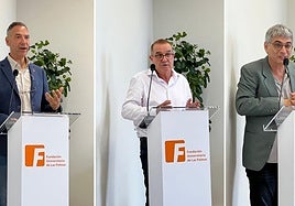 Vicente Zapata Hernández, Aniano Hernández Guerra y Federico Eduardo González Ramírez.