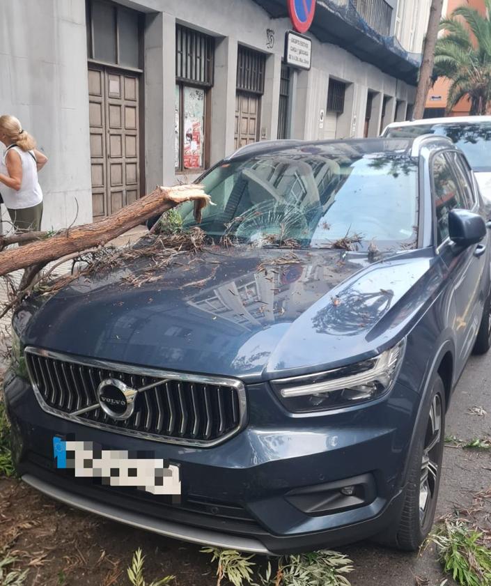 Imagen secundaria 2 - Susto en Primero de Mayo: la caída de una rama de grandes dimensiones provoca importantes daños en dos vehículos