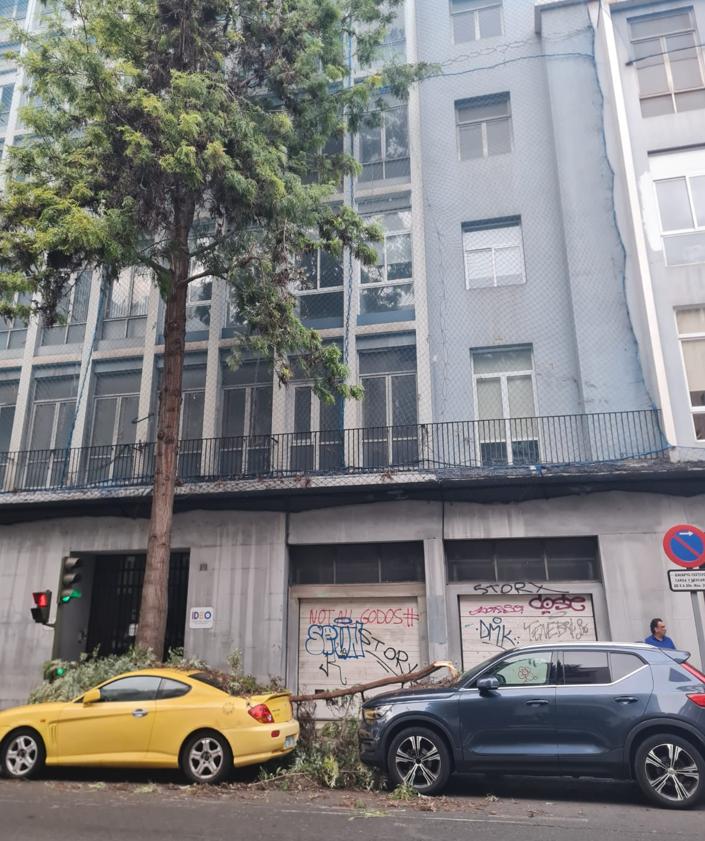 Imagen secundaria 2 - Susto en Primero de Mayo: la caída de una rama de grandes dimensiones provoca importantes daños en dos vehículos