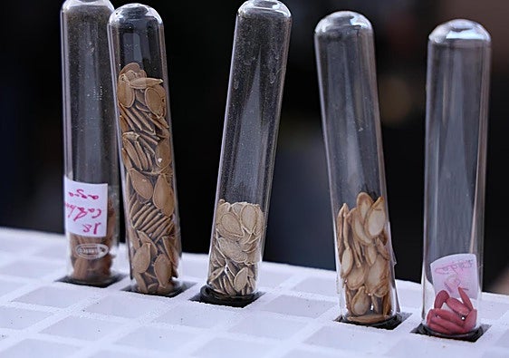 El reparto de semillas es para agricultores profesionales, a tiempo parcial y aficionados.