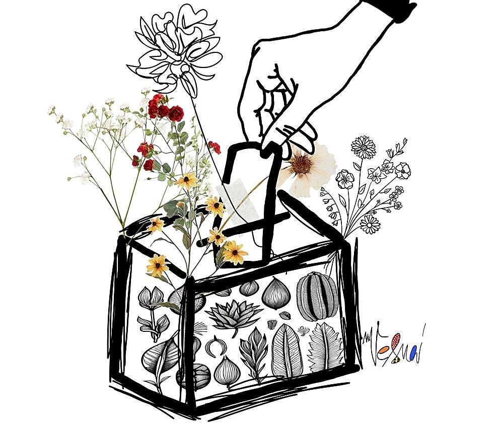 Si participamos, todo cambia