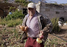 Nicasio Mendoza sujetando cebollas en su finca ubicada en el camino de Troya, en Piso Firme.