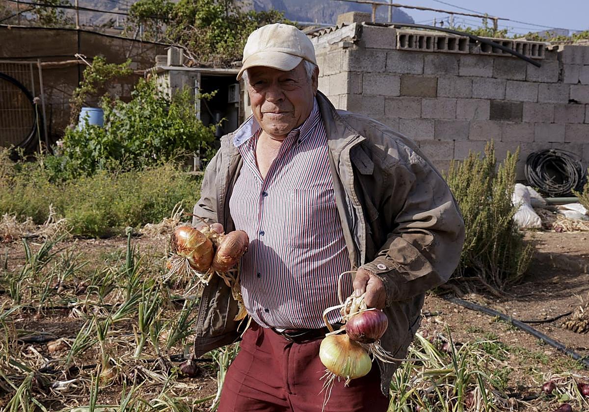 Nicasio Mendoza sujetando cebollas en su finca ubicada en el camino de Troya, en Piso Firme.