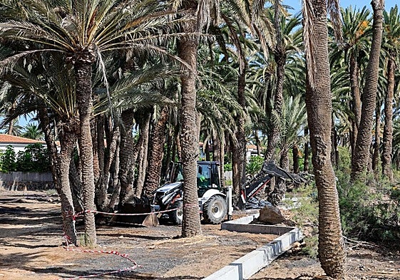 En la imagen, un tractor en pleno trabajo bajo las palmeras del Oasis deMaspalomas.