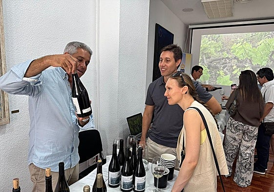 Vinos canarios en Madrid