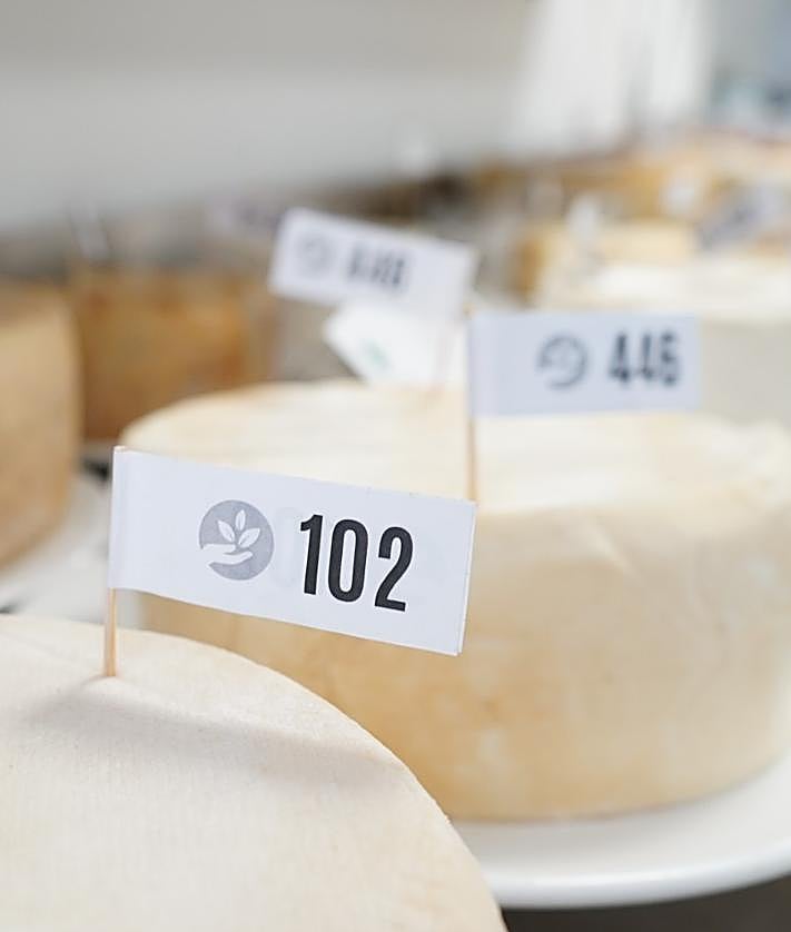 Imagen secundaria 2 - El concurso se celebra en los Jameos del Agua, en Haría.