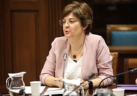 La responsable de investigación de Amnistía Internacional, Virginia Álvarez, en comisión parlamentaria este viernes.