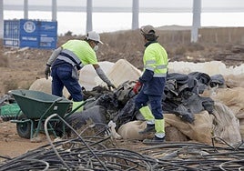 Trabajos de limpieza en el primer plan de empleo, que adecentó 90 hectáreas.