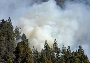Alerta por riesgo de incendios forestales en Gran Canaria