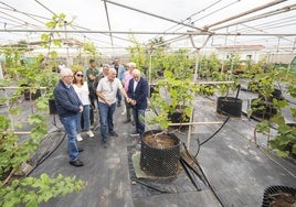 El presidente del Cabildo de Gran Canaria, Antonio Morales, visitó este lunes el vivero.