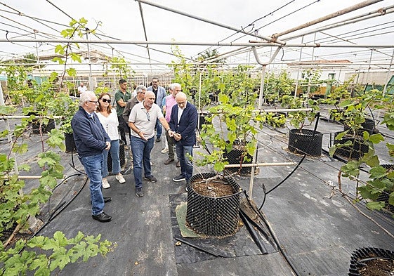 El presidente del Cabildo de Gran Canaria, Antonio Morales, visitó este lunes el vivero.