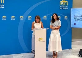 Las diputadas del grupo parlamentario NC-BC, Esther González y Natalia Santana.