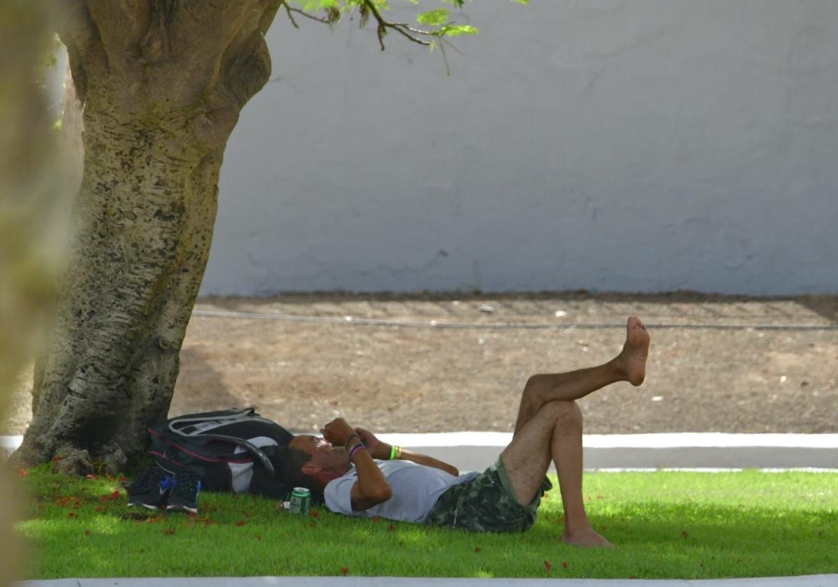 Un hombre descansa a la sombra de un árbol en el sur de Gran Canaria.