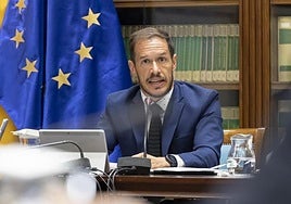 El consejero, Mariano Hernández, en una comisión parlamentaria.